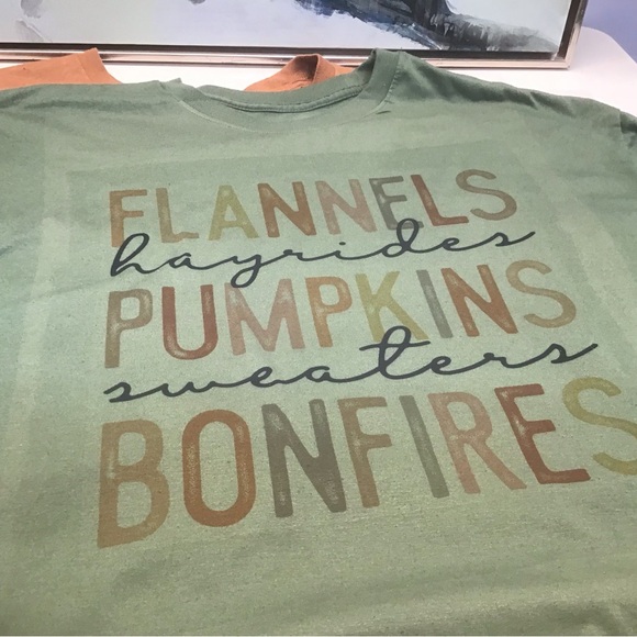 Fall pumpkins bundle of two Women’s 2X Darling Tees - Picture 7 of 7